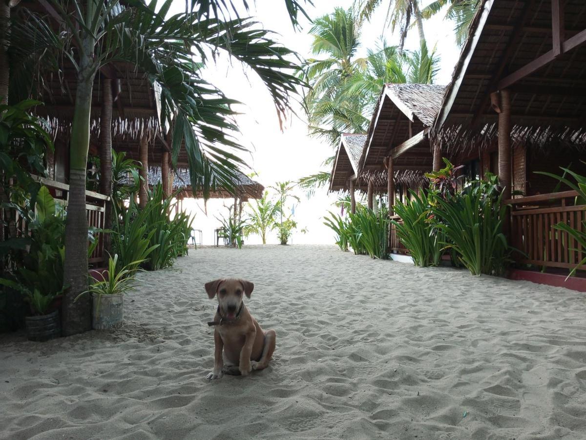 Zhaya'S Beach & Cottages Эль-Нидо Экстерьер фото