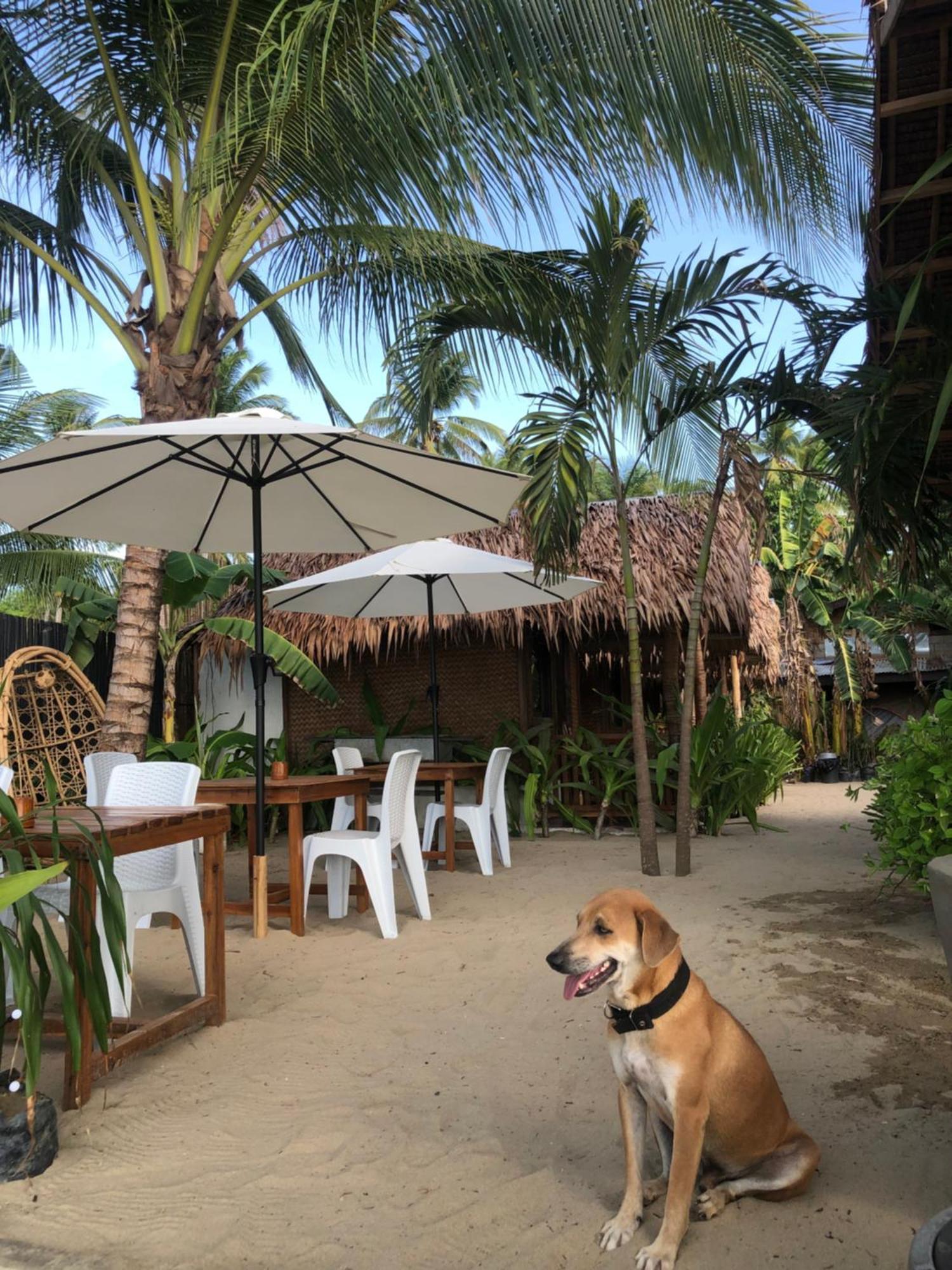 Zhaya'S Beach & Cottages Эль-Нидо Экстерьер фото