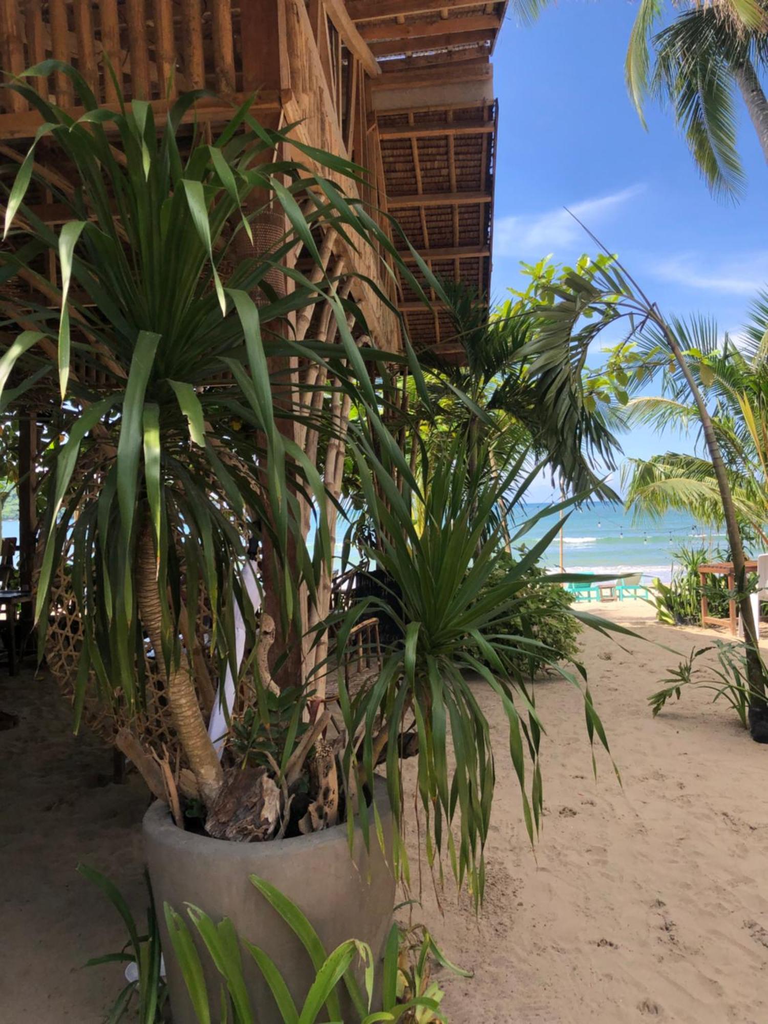 Zhaya'S Beach & Cottages Эль-Нидо Экстерьер фото